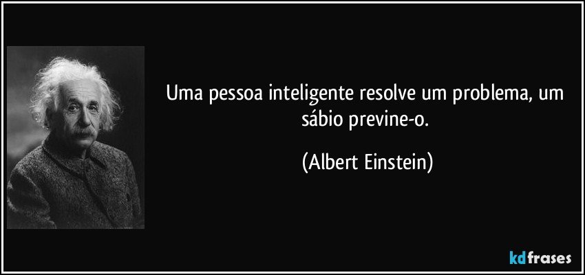 Uma pessoa inteligente resolve um problema, um sábio previne-o. (Albert Einstein)
