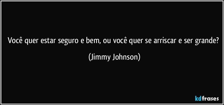 Você quer estar seguro e bem, ou você quer se arriscar e ser grande? (Jimmy Johnson)