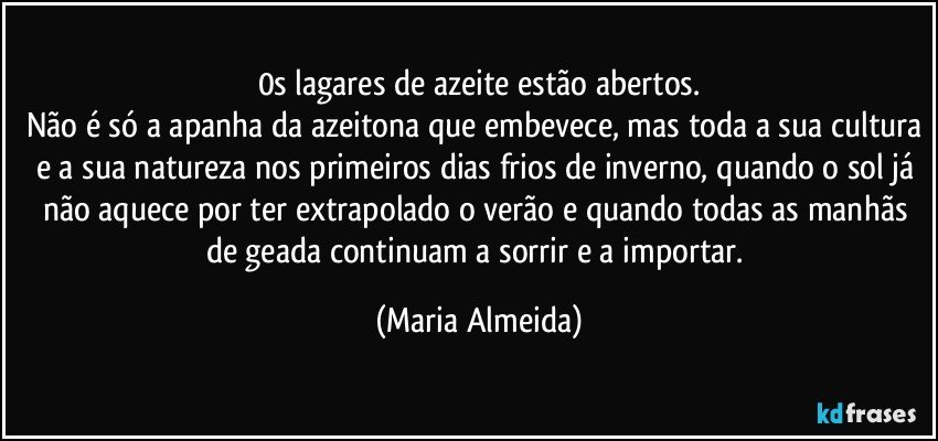 0s lagares de azeite estão abertos.
Não é só a apanha da azeitona que embevece, mas toda a sua cultura e a sua natureza nos primeiros dias frios de inverno, quando o sol já não aquece por ter extrapolado o verão e quando todas as manhãs de geada continuam a sorrir e a importar. (Maria Almeida)