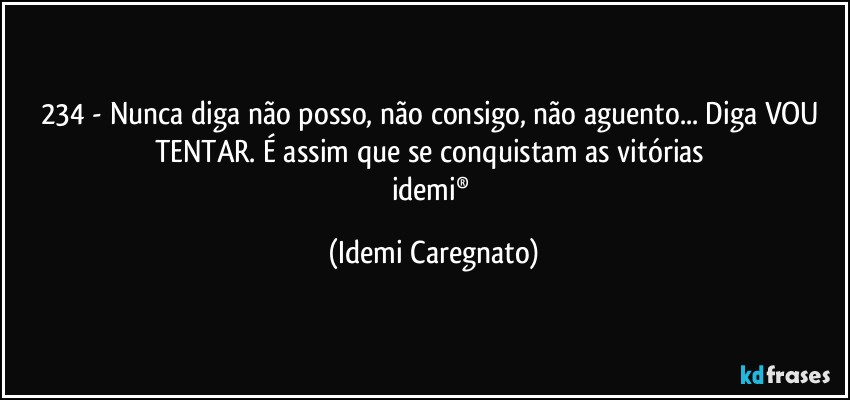 234 - Nunca diga não posso, não consigo, não aguento... Diga VOU TENTAR. É assim que se conquistam as vitórias 
idemi® (Idemi Caregnato)