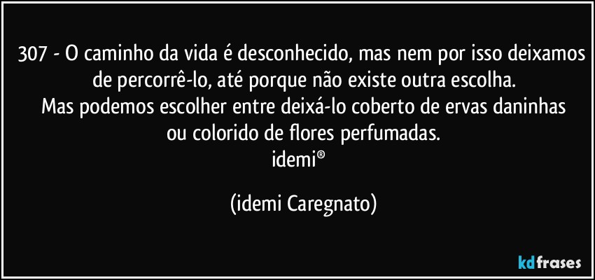 307 - O caminho da vida é desconhecido, mas nem por isso deixamos de percorrê-lo, até porque não existe outra escolha.
Mas podemos escolher entre deixá-lo coberto de ervas daninhas
ou colorido de flores perfumadas.
idemi®﻿ (Idemi Caregnato)