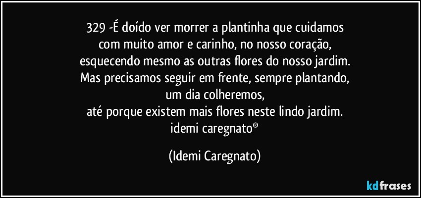 329 -É doído ver morrer a plantinha que cuidamos
com muito amor e carinho, no nosso coração,
esquecendo mesmo as outras flores do nosso jardim.
Mas precisamos seguir em frente, sempre plantando,
um dia colheremos,
até porque existem mais flores neste lindo jardim.
♥idemi caregnato® (Idemi Caregnato)