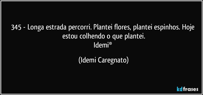 345 - Longa estrada percorri. Plantei flores, plantei espinhos. Hoje estou colhendo o que plantei.
Idemi® (Idemi Caregnato)