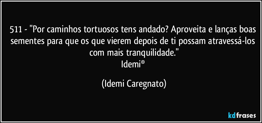 511 - "Por caminhos tortuosos tens andado? Aproveita e lanças boas sementes para que os que vierem depois de ti possam atravessá-los com mais tranquilidade."
Idemi® (Idemi Caregnato)