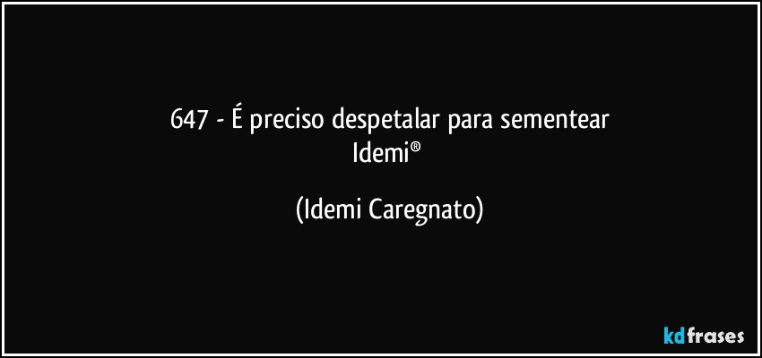 647 - É preciso despetalar para sementear
Idemi® (Idemi Caregnato)