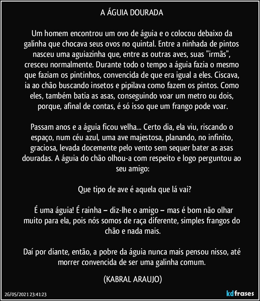 A ÁGUIA DOURADA 

Um homem encontrou um ovo de águia e o colocou debaixo da galinha que chocava seus ovos no quintal. Entre a ninhada de pintos nasceu uma aguiazinha que, entre as outras aves, suas "irmãs", cresceu normalmente. Durante todo o tempo a águia fazia o mesmo que faziam os pintinhos, convencida de que era igual a eles. Ciscava, ia ao chão buscando insetos e pipilava como fazem os pintos. Como eles, também batia as asas, conseguindo voar um metro ou dois, porque, afinal de contas, é só isso que um frango pode voar.

Passam anos e a águia ficou velha... Certo dia, ela viu, riscando o espaço, num céu azul, uma ave majestosa, planando, no infinito, graciosa, levada docemente pelo vento sem sequer bater as asas douradas. A águia do chão olhou-a com respeito e logo perguntou ao seu amigo:

―	Que tipo de ave é aquela que lá vai?

―	É uma águia! É rainha  – diz-lhe o amigo –  mas é bom não olhar muito para ela, pois nós somos de raça diferente, simples frangos do chão e nada mais.

Daí por diante, então, a pobre da águia nunca mais pensou nisso, até morrer convencida de ser uma galinha comum. (KABRAL ARAUJO)