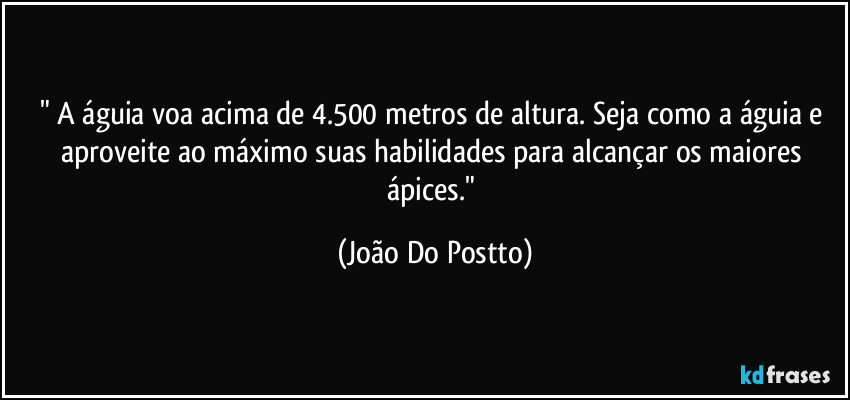 " A águia voa acima de 4.500 metros de altura. Seja como a águia e aproveite ao máximo suas habilidades para alcançar os maiores ápices." (João Do Postto)