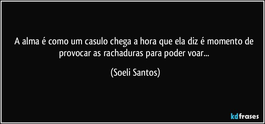 A alma é como um casulo chega a hora que ela diz é momento de provocar as rachaduras para poder voar... (Soeli Santos)