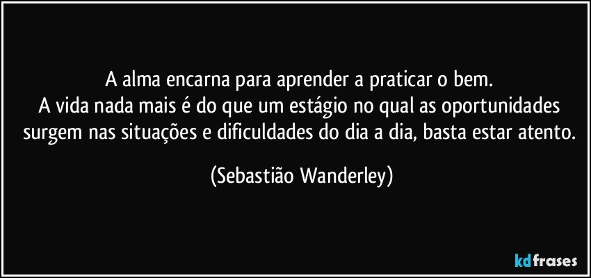 A alma encarna para aprender a praticar o bem. 
A vida nada mais é do que um estágio no qual as oportunidades surgem nas situações e dificuldades do dia a dia, basta estar atento. (Sebastião Wanderley)