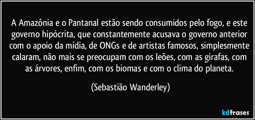 A Amazônia e o Pantanal estão sendo consumidos pelo fogo, e este governo hipócrita, que constantemente acusava o governo anterior com o apoio da mídia, de ONGs e de artistas famosos,  simplesmente calaram, não mais se preocupam com os leões, com as girafas, com as árvores, enfim, com os biomas e com o clima do planeta. (Sebastião Wanderley)