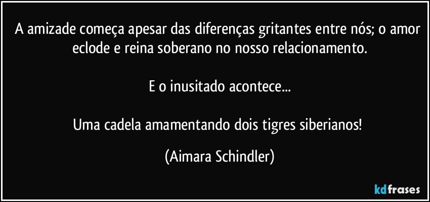 A amizade começa apesar das diferenças gritantes entre nós;  o amor eclode e reina soberano no nosso relacionamento.

E o inusitado acontece...

Uma cadela amamentando dois tigres siberianos! (Aimara Schindler)