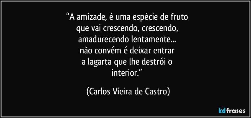 “A amizade, é uma espécie de fruto 
que vai crescendo, crescendo, 
amadurecendo lentamente... 
não convém é deixar entrar 
a lagarta que lhe destrói o 
interior.” (Carlos Vieira de Castro)