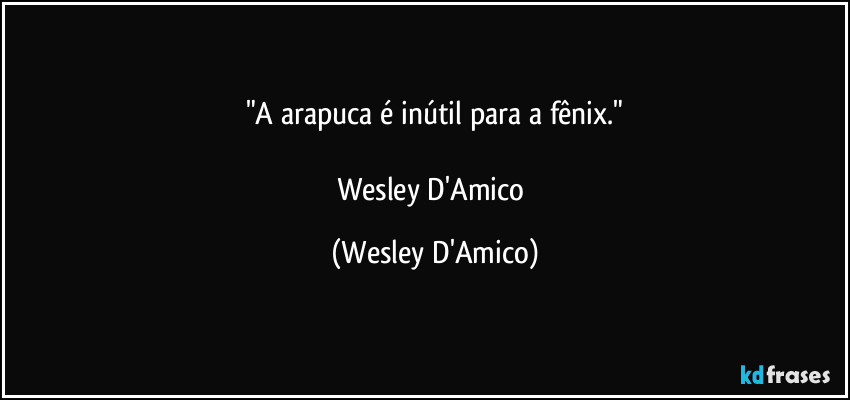"A arapuca é inútil para a fênix."

Wesley D'Amico (Wesley D'Amico)