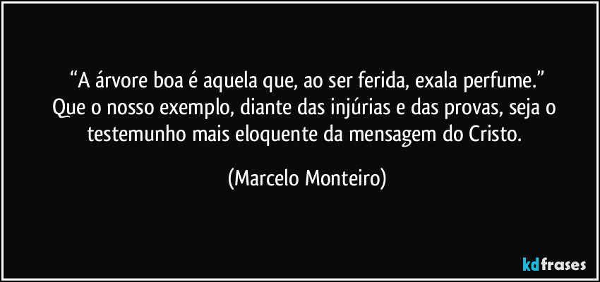 “A árvore boa é aquela que, ao ser ferida, exala perfume.”
Que o nosso exemplo, diante das injúrias e das provas, seja o testemunho mais eloquente da mensagem do Cristo. (Marcelo Monteiro)