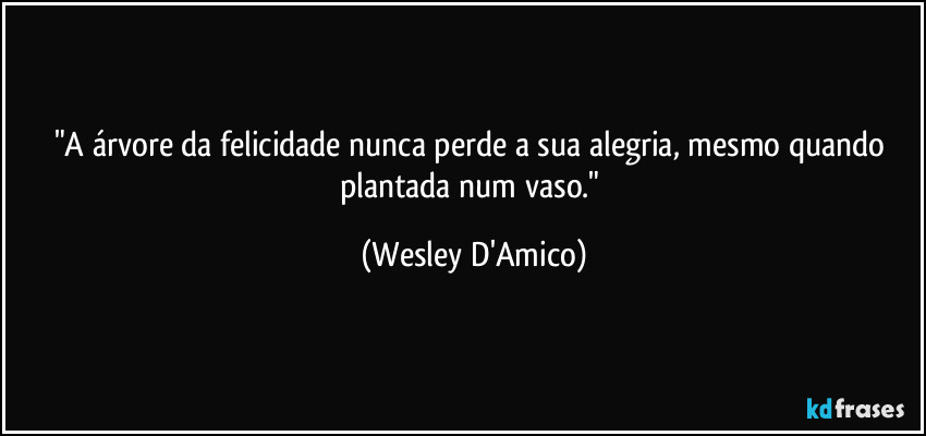 "A árvore da felicidade nunca perde a sua alegria, mesmo quando plantada num vaso." (Wesley D'Amico)