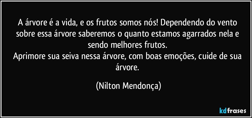 A árvore é a vida, e os frutos somos nós! Dependendo do vento sobre essa árvore saberemos o quanto estamos agarrados nela e sendo melhores frutos. 
Aprimore sua seiva nessa árvore, com boas emoções, cuide de sua árvore. (Nilton Mendonça)