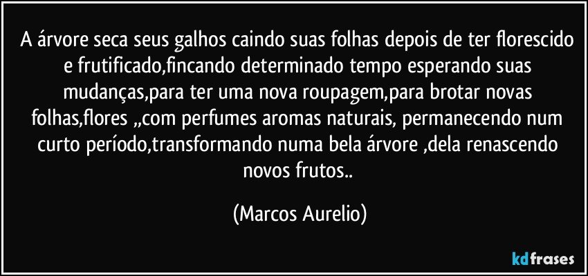 A árvore seca seus galhos caindo suas folhas depois de ter florescido e frutificado,fincando determinado tempo esperando suas mudanças,para ter uma nova roupagem,para brotar novas folhas,flores ,,com perfumes  aromas naturais, permanecendo num curto período,transformando numa bela árvore ,dela renascendo novos frutos.. (Marcos Aurelio)