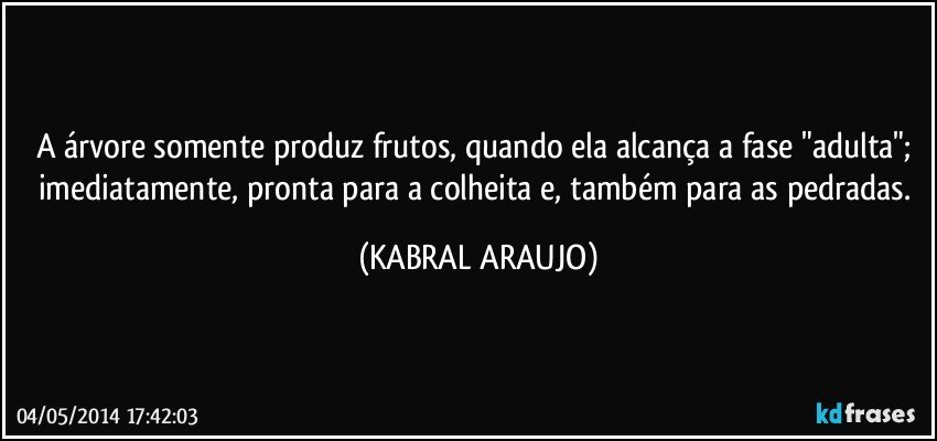 A árvore somente produz frutos, quando ela alcança a fase "adulta"; imediatamente, pronta para a colheita e, também para as pedradas. (KABRAL ARAUJO)