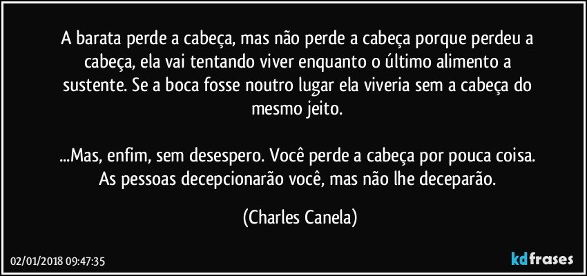 A barata perde a cabeça, mas não perde a cabeça porque perdeu a cabeça, ela vai tentando viver enquanto o último alimento a sustente. Se a boca fosse noutro lugar ela viveria sem a cabeça do mesmo jeito. 

...Mas, enfim, sem desespero. Você perde a cabeça por pouca coisa. As pessoas decepcionarão você, mas não lhe deceparão. (Charles Canela)