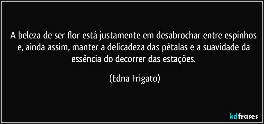 A beleza de ser flor está justamente em desabrochar entre espinhos e, ainda assim, manter a delicadeza das pétalas e a suavidade da essência do decorrer das estações. (Edna Frigato)