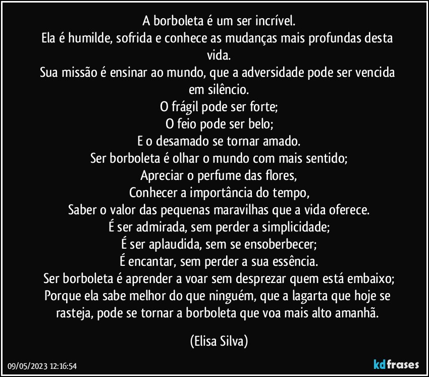 A borboleta é um ser incrível.
Ela é humilde, sofrida e conhece as mudanças mais profundas desta vida.
Sua missão é ensinar ao mundo, que a adversidade pode ser vencida em silêncio.
O frágil pode ser forte;
O feio pode ser belo;
E o desamado se tornar amado.
Ser borboleta é olhar o mundo com mais sentido;
Apreciar o perfume das flores,
Conhecer a importância do tempo,
Saber o valor das pequenas maravilhas que a vida oferece.
É ser admirada, sem perder a simplicidade;
É ser aplaudida, sem se ensoberbecer;
É encantar, sem perder a sua essência.
Ser borboleta é aprender a voar sem desprezar quem está embaixo;
Porque ela sabe melhor do que ninguém, que a lagarta que hoje se rasteja, pode se tornar a borboleta que voa mais alto amanhã. (Elisa Silva)