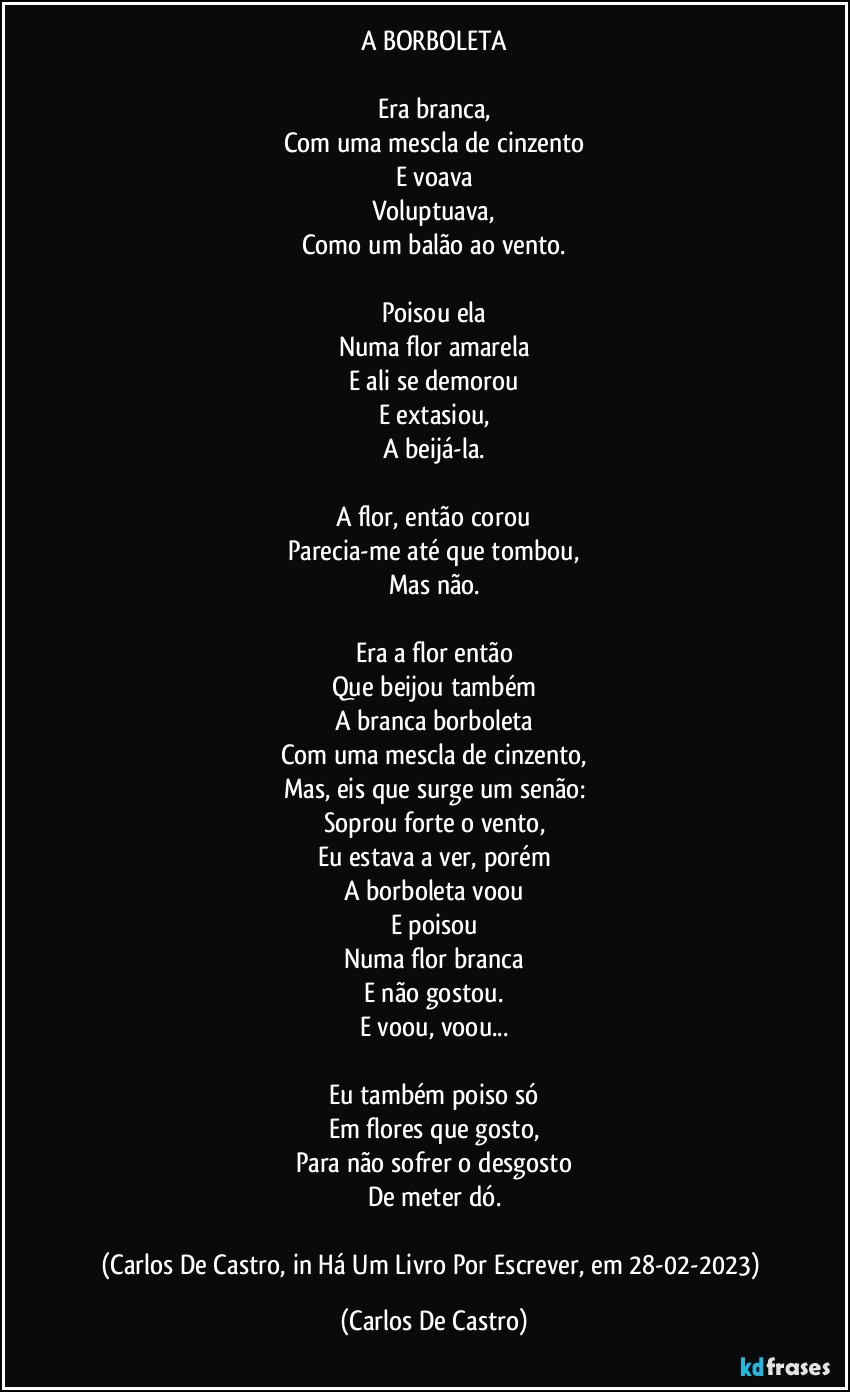 A BORBOLETA

Era branca,
Com uma mescla de cinzento
E voava
Voluptuava,
Como um balão ao vento.

Poisou ela
Numa flor amarela
E ali se demorou
E extasiou,
A beijá-la.

A flor, então corou
Parecia-me até que tombou,
Mas não.

Era a flor então
Que beijou também
A branca borboleta
Com uma mescla de cinzento,
Mas, eis que surge um senão:
Soprou forte o vento,
Eu estava a ver, porém
A borboleta voou
E poisou
Numa flor branca
E não gostou.
E voou, voou...

Eu também poiso só
Em flores que gosto,
Para não sofrer o desgosto
De meter dó.

(Carlos De Castro, in Há Um Livro Por Escrever, em 28-02-2023) (Carlos De Castro)