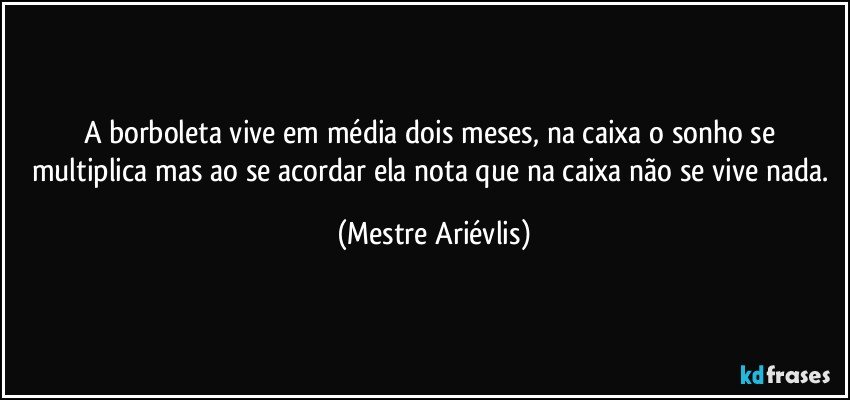 A borboleta vive em média dois meses, na caixa o sonho se multiplica mas ao se acordar ela nota que na caixa não se vive nada. (Mestre Ariévlis)