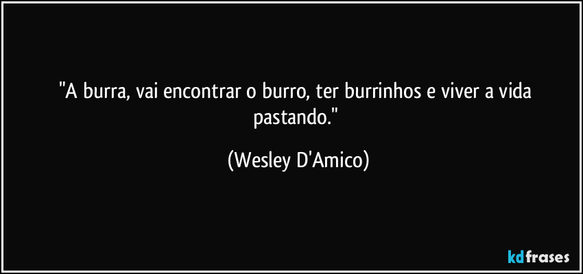 "A burra, vai encontrar o burro, ter burrinhos e viver a vida pastando." (Wesley D'Amico)