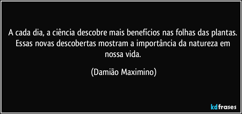 A cada dia, a ciência descobre mais benefícios nas folhas das plantas. Essas novas descobertas mostram a importância da natureza em nossa vida. (Damião Maximino)