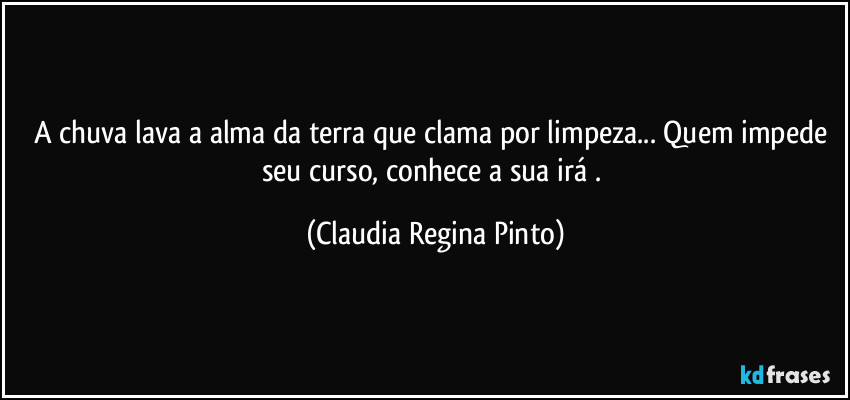 A chuva lava a alma da terra que clama por limpeza... Quem impede seu curso, conhece a sua irá . (Claudia Regina Pinto)