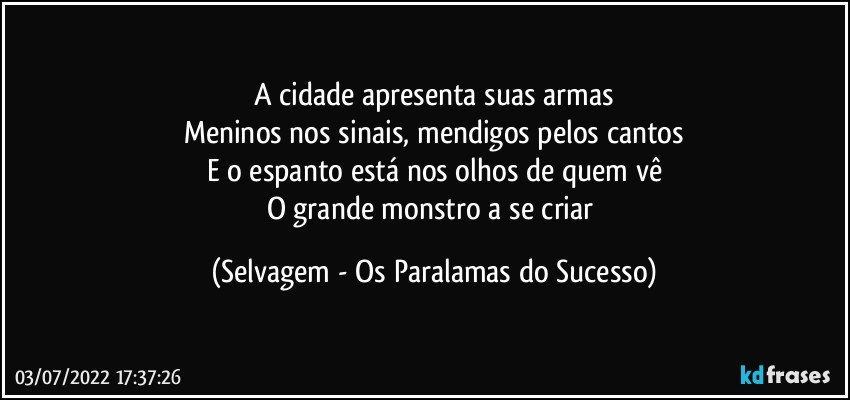 A cidade apresenta suas armas
Meninos nos sinais, mendigos pelos cantos
E o espanto está nos olhos de quem vê
O grande monstro a se criar (Selvagem - Os Paralamas do Sucesso)