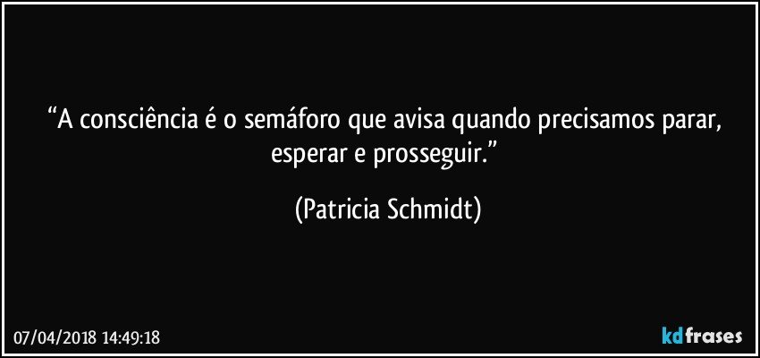 “A consciência é o semáforo que avisa quando precisamos parar, esperar e prosseguir.” (Patricia Schmidt)