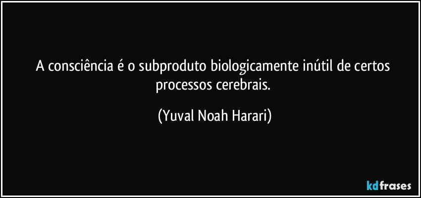 A consciência é o subproduto biologicamente inútil de certos processos cerebrais. (Yuval Noah Harari)