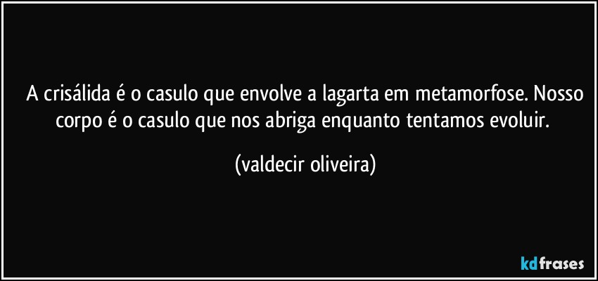 ⁠A crisálida é o casulo que envolve a lagarta em metamorfose. Nosso corpo é o casulo que nos abriga enquanto tentamos evoluir. (valdecir oliveira)