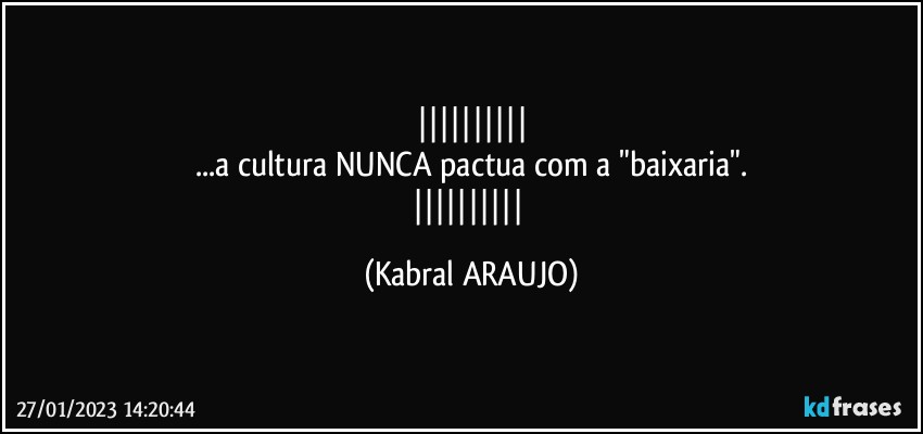 
...a cultura NUNCA pactua com a "baixaria".
 (KABRAL ARAUJO)