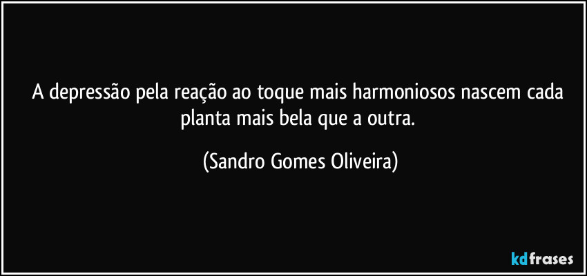 A depressão pela reação ao toque mais harmoniosos nascem cada planta mais bela que a outra. (Sandro Gomes Oliveira)