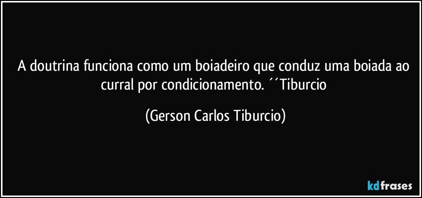 A doutrina funciona como um boiadeiro que conduz uma boiada ao curral por condicionamento. ´´Tiburcio (Gerson Carlos Tiburcio)