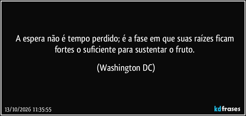 A espera não é tempo perdido; é a fase em que suas raízes ficam fortes o suficiente para sustentar o fruto. (Washington DC)