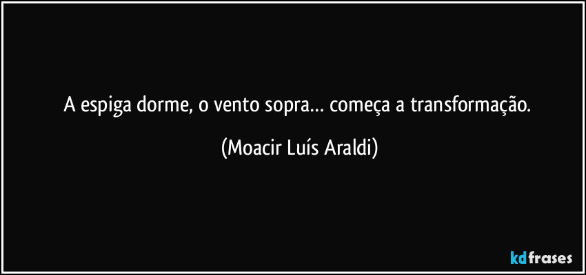 A espiga dorme, o vento sopra… começa a transformação. (Moacir Luís Araldi)