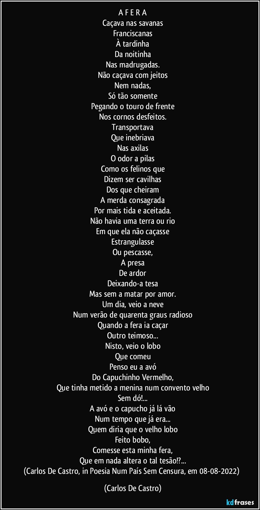 A  F E R A
Caçava nas savanas
Franciscanas
À tardinha
Da noitinha
Nas madrugadas.
Não caçava com jeitos
Nem nadas,
Só tão somente
Pegando o touro de frente
Nos cornos desfeitos.
Transportava
Que inebriava
Nas axilas
O odor a pilas
Como os felinos que
Dizem ser cavilhas
Dos que cheiram
A merda consagrada
Por mais tida e aceitada.
Não havia uma terra ou rio
Em que ela não caçasse
Estrangulasse
Ou pescasse,
A presa
De ardor
Deixando-a tesa
Mas sem a matar por amor.
Um dia, veio a neve
Num verão de quarenta graus radioso
Quando a fera ia caçar
Outro teimoso...
Nisto, veio o lobo
Que comeu
Penso eu a avó
Do Capuchinho Vermelho,
Que tinha metido a menina num convento velho
Sem dó!...
A avó e o capucho já lá vão
Num tempo que já era...
Quem diria que o velho lobo
Feito bobo,
Comesse esta minha fera,
Que em nada altera o tal tesão!?...
(Carlos De Castro, in Poesia Num País Sem Censura, em 08-08-2022) (Carlos De Castro)