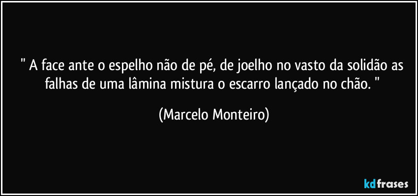" A face ante o espelho não de pé, de joelho no vasto da solidão as falhas de uma lâmina mistura o escarro lançado no chão. " (Marcelo Monteiro)
