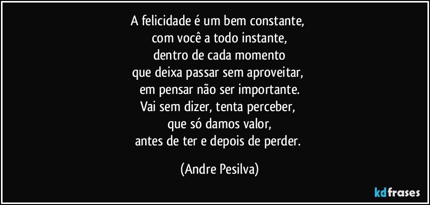 A felicidade é um bem constante, 
com você a todo instante,
dentro de cada momento
que deixa passar sem aproveitar, 
em pensar não ser importante.
Vai sem dizer, tenta perceber, 
que só damos valor,
antes de ter e depois de perder. (Andre Pesilva)