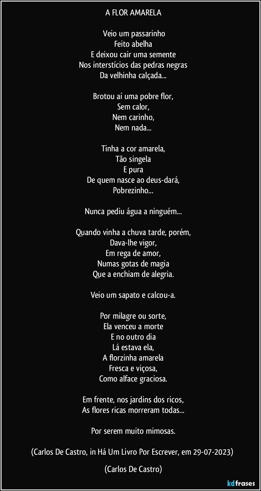 A FLOR AMARELA

⁠Veio um passarinho
Feito abelha
E deixou cair uma semente
Nos interstícios das pedras negras
Da velhinha calçada...

Brotou aí uma pobre flor,
Sem calor,
Nem carinho,
Nem nada...

Tinha a cor amarela,
Tão singela
E pura
De quem nasce ao deus-dará,
Pobrezinho...

Nunca pediu água a ninguém...

Quando vinha a chuva tarde, porém,
Dava-lhe vigor,
Em rega de amor,
Numas gotas de magia
Que a enchiam de alegria.

Veio um sapato e calcou-a.

Por milagre ou sorte,
Ela venceu a morte
E no outro dia
Lá estava ela,
A florzinha amarela
Fresca e viçosa,
Como alface graciosa.

Em frente, nos jardins dos ricos,
As flores ricas morreram todas...

Por serem muito mimosas.

(Carlos De Castro, in Há Um Livro Por Escrever, em 29-07-2023) (Carlos De Castro)