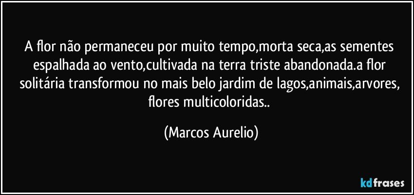 a flor não permaneceu por muito tempo,morta seca,as sementes espalhada ao vento,cultivada na terra triste abandonada.a flor solitária transformou no mais belo jardim de lagos,animais,arvores, flores multicoloridas.. (Marcos Aurelio)