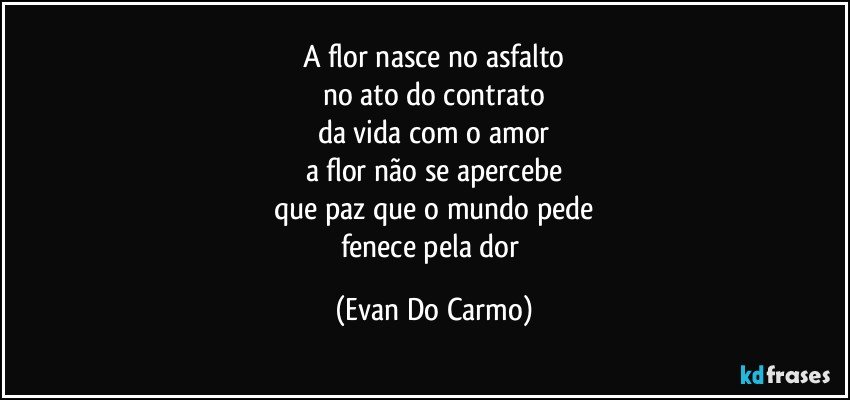 A flor nasce no asfalto
no ato do contrato
da vida com o amor
a flor não se apercebe
que paz que o mundo pede
fenece pela dor (Evan Do Carmo)