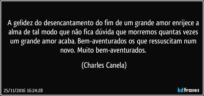 A gelidez do desencantamento do fim de um grande amor enrijece a alma de tal modo que não fica dúvida que morremos quantas vezes um grande amor acaba. Bem-aventurados os que ressuscitam num novo. Muito bem-aventurados. (Charles Canela)