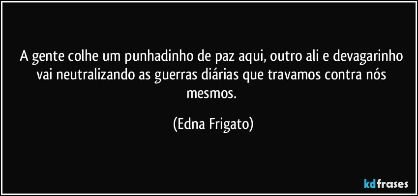 A gente colhe um punhadinho de paz aqui, outro ali e devagarinho vai neutralizando as guerras diárias que travamos contra nós mesmos. (Edna Frigato)