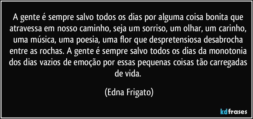 A gente é sempre salvo todos os dias por alguma coisa bonita que atravessa em nosso caminho, seja um sorriso, um olhar, um carinho, uma música, uma poesia, uma flor que despretensiosa desabrocha entre as rochas. A gente é sempre salvo todos os dias da monotonia dos dias vazios de emoção por essas pequenas coisas tão carregadas de vida. (Edna Frigato)