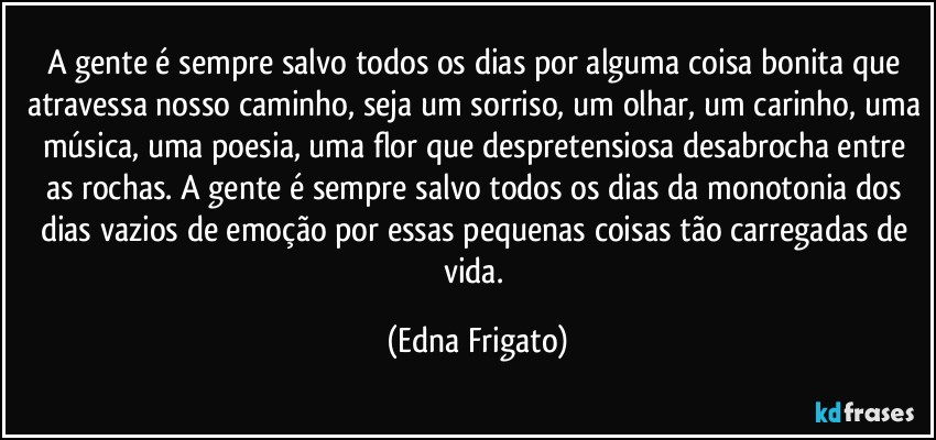 A gente é sempre salvo todos os dias por alguma coisa bonita que atravessa nosso caminho, seja um sorriso, um olhar, um carinho, uma música, uma poesia, uma flor que despretensiosa desabrocha entre as rochas. A gente é sempre salvo todos os dias da monotonia dos dias vazios de emoção por essas pequenas coisas tão carregadas de vida. (Edna Frigato)