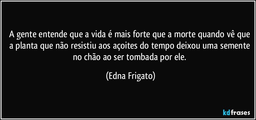 A gente entende que a vida é mais forte que a morte quando vê que a planta que não resistiu aos açoites do tempo deixou uma semente no chão ao ser tombada por ele. (Edna Frigato)